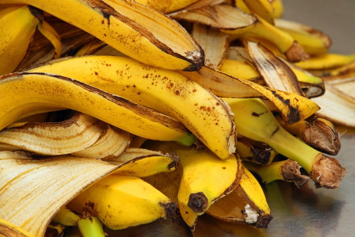 Aprenda A Como Fazer Adubo Casca De Banana Horta Jardim Cia