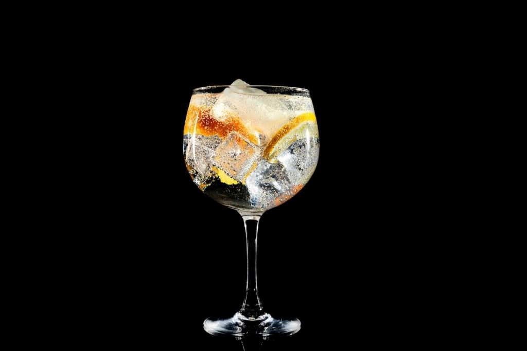 Drink Gin Tônica frutas confira opções dessa bebida mista perfeita