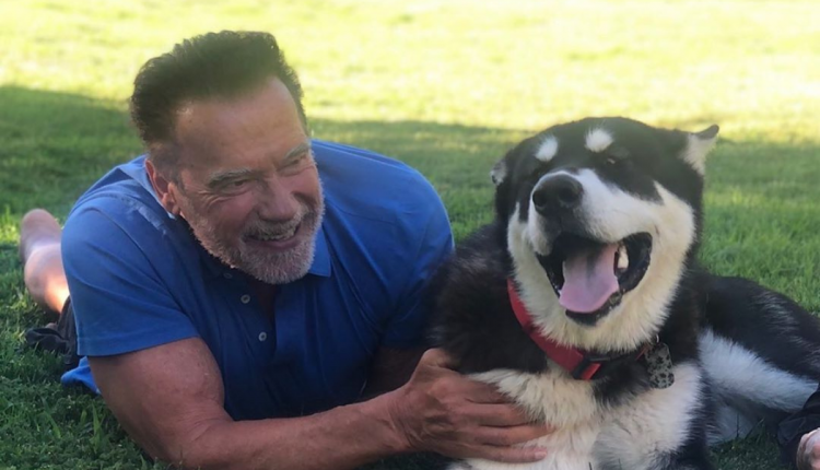 Arnold Schwarzenegger - Imagem Reprodução Instagram