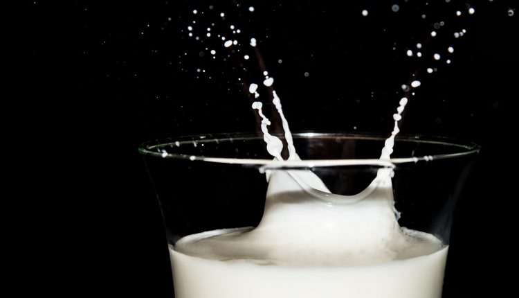Proteína do leite é modificada para aumentar sua digestão em idosos - Reprodução Pixabay
