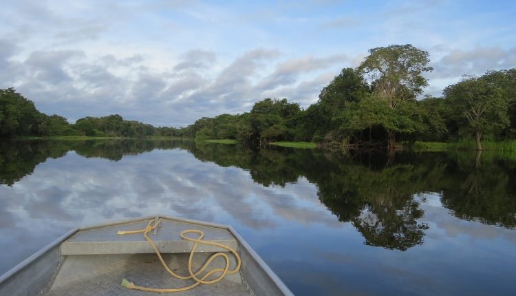 Áreas úmidas amazônicas passam boa parte do ano alagadas, diz estudo - Reprodução pixabay