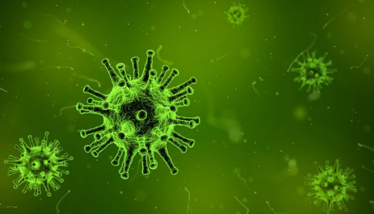 Cientistas brasileiros desenvolvem técnica de baixo custo que permite ver em 3D o novo coronavírus - Reprodução pixabay
