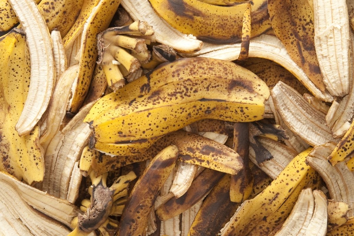 Como fazer adubo de casca de banana e deixar as plantas mais saudáveis - Reprodução: Canva