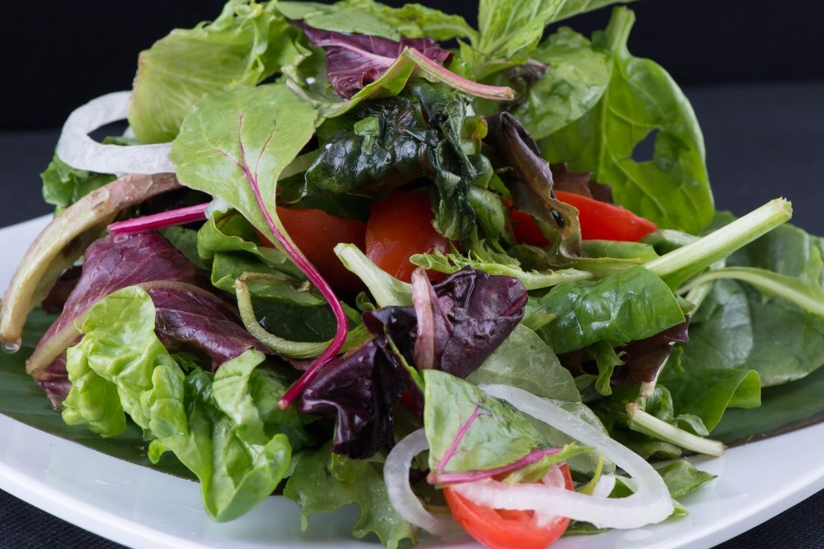 Como plantar alface em garrafa PET e ter salada o ano todo: veja como é super fácil de fazer Reprodução Canva