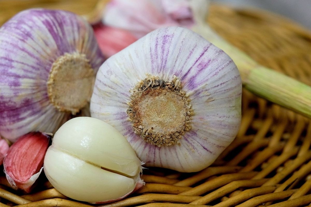 Descascar alho nunca mais vai ser um trabalho! Veja como fazer isso em casa sem dificuldade Reprodução Canva