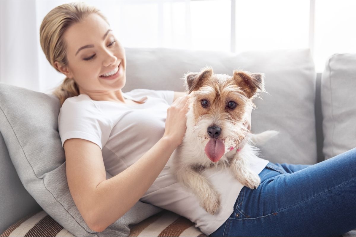 Novo cachorro em casa? descubra como ensinar seu companheiro da forma correta - Imagem Reprodução Canva
