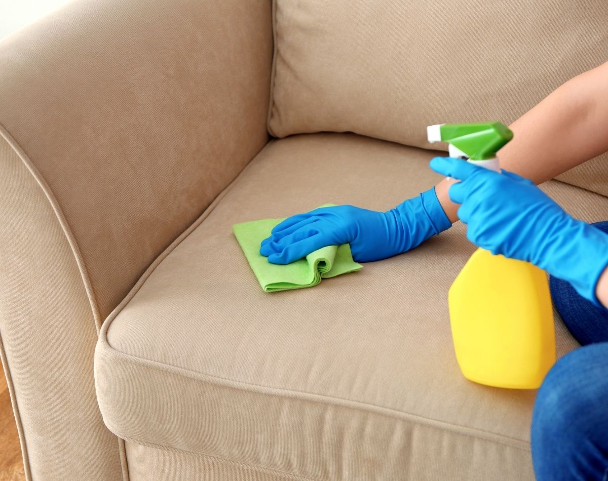 Conheça uma mistura para limpar sofá e deixá-lo impecável - foto: Canva