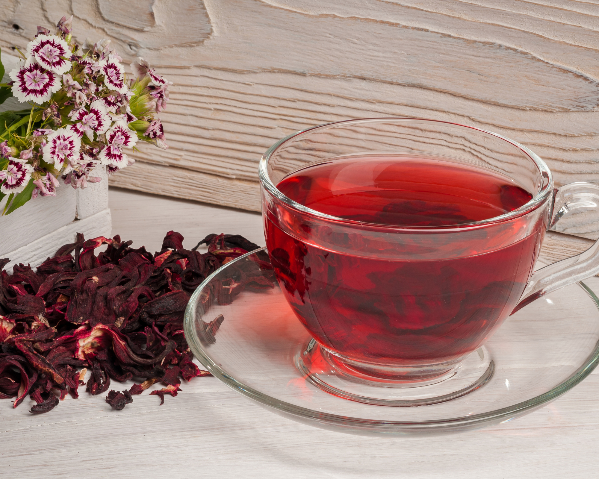 Chá de Hibisco: Descubra os Benefícios desse Chá/ Fonte: Canva