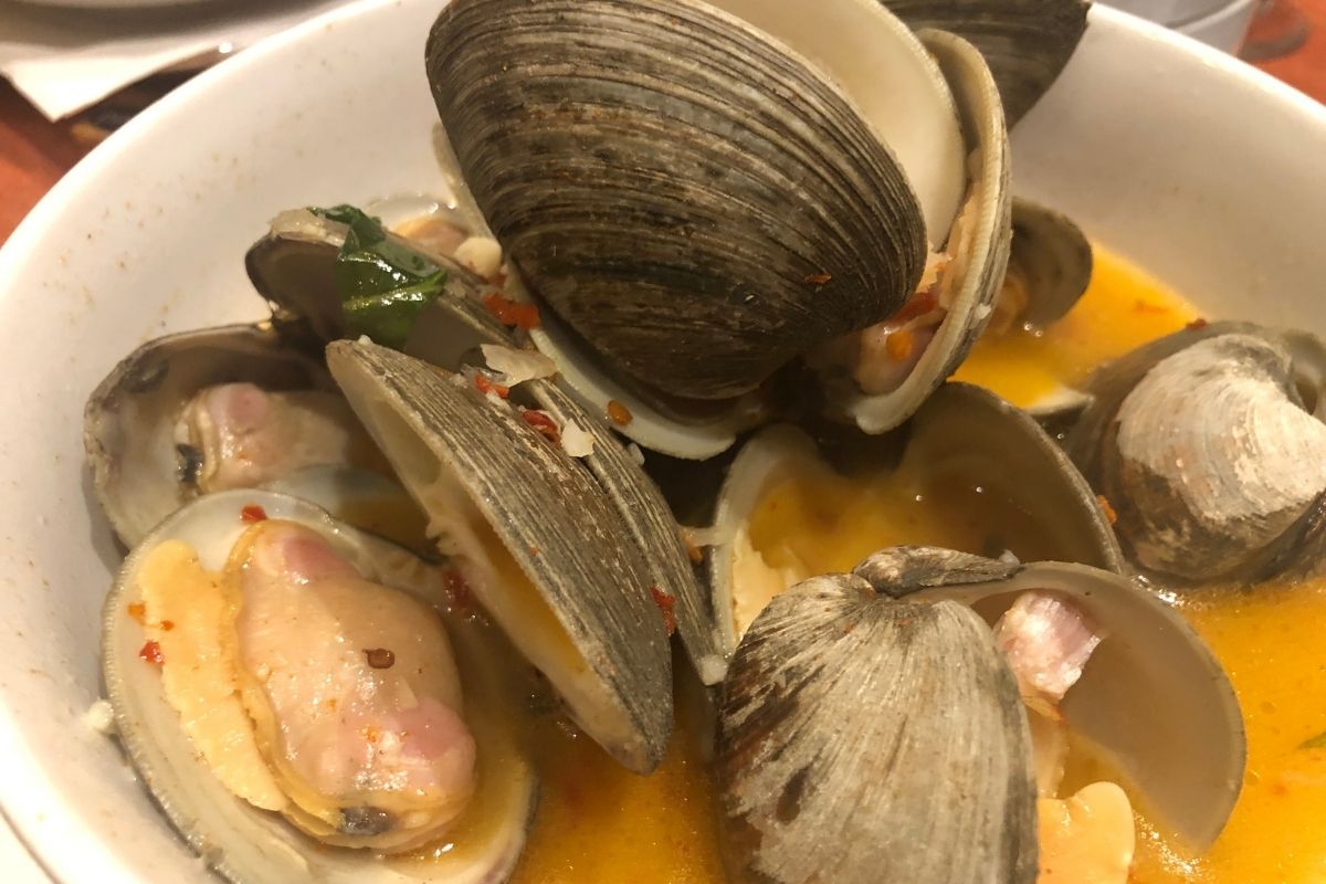 Como fazer lambreta? Aprenda aqui essa receita super prática e rápida - Foto: Canva Pró