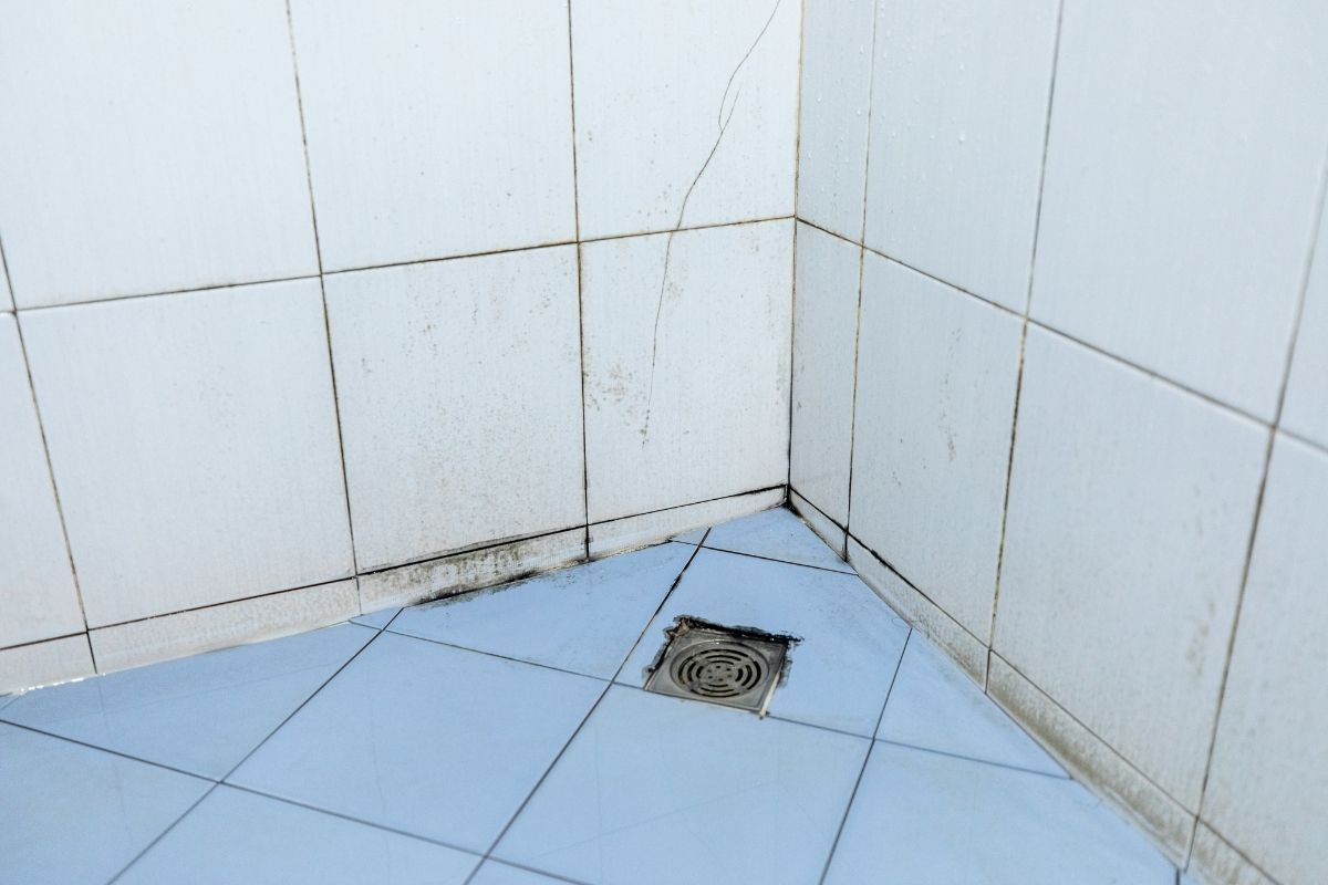 Como limpar rejunte de banheiro? Misturinha poderosa e dicas infalíveis - Fonte: canva