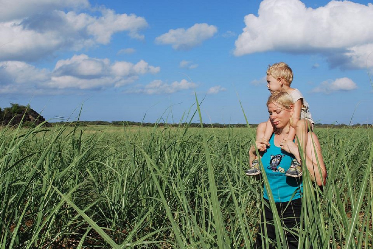 Dia 8 de maio: descubra o presente ideal para a mãe de cada signo - Fonte: Pixabay