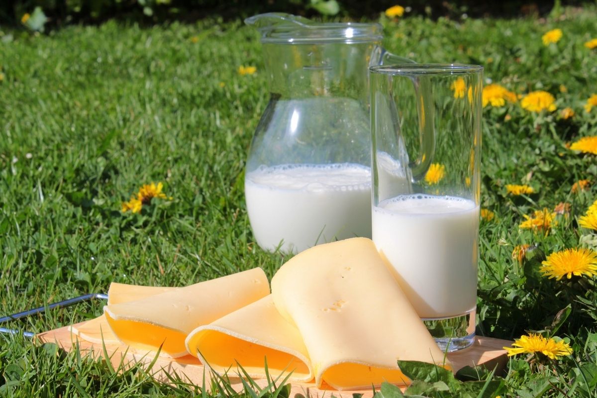 Copo de leite morno: pode ajudar a dormir à noite? Copo de leite morno: pode ajudar a dormir à noite?