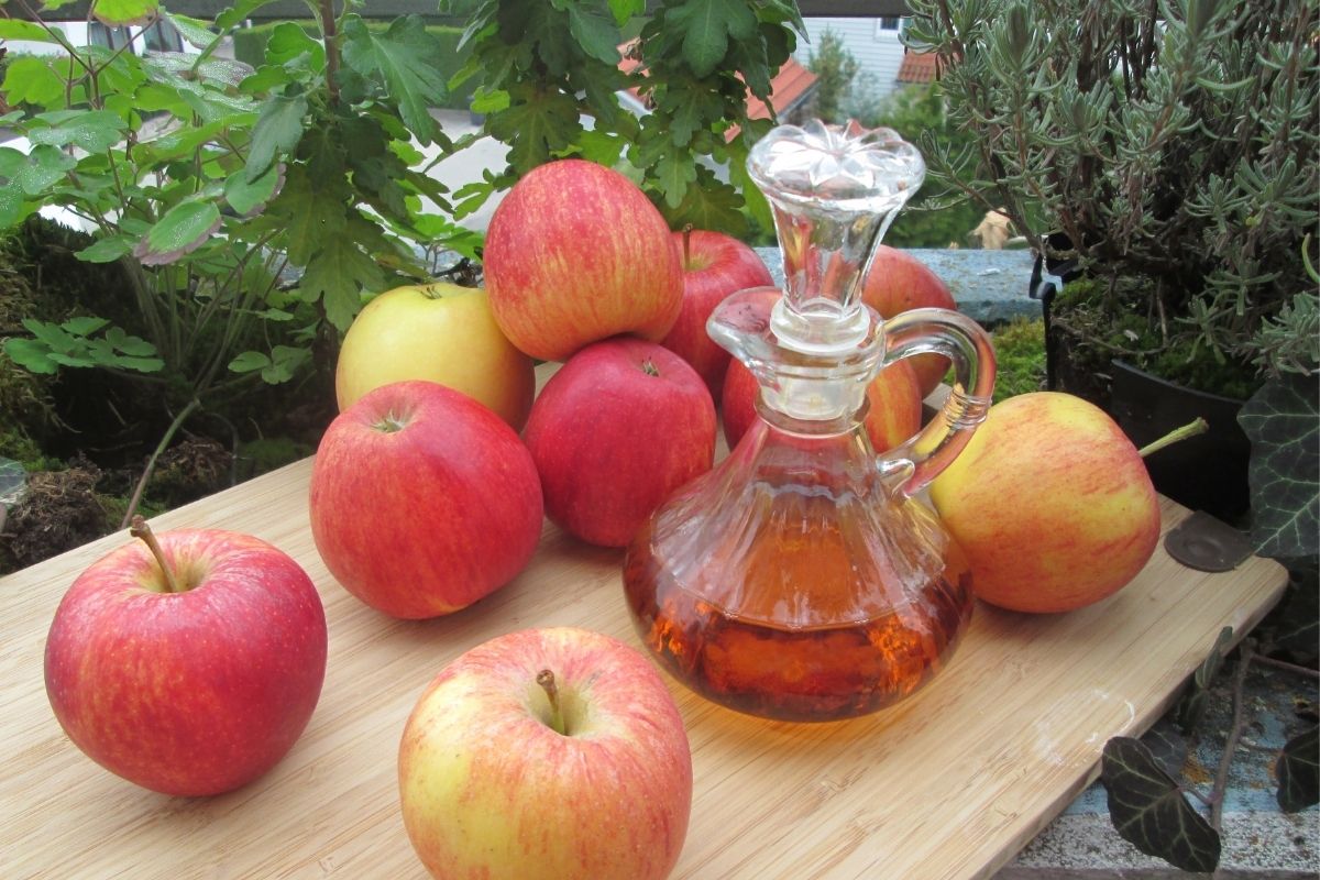 Conheça os benefícios e os malefícios do vinagre de maçã