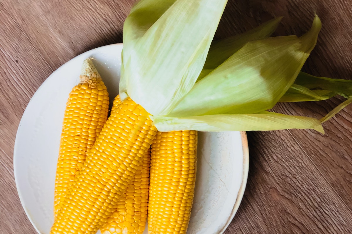 6 passos para fazer a pamonha do jeito certo e cremosa, faça agora mesmo