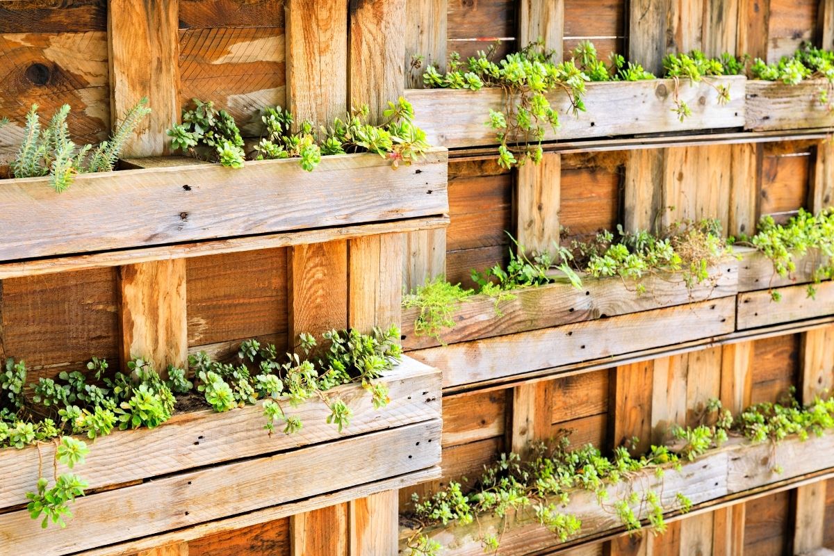 Como fazer jardim vertical com paletes? Confira esse passo a passo, veja como fixar os vasos (Fonte: Canva Pro) Como fazer jardim vertical com paletes? Confira esse passo a passo, veja como fixar os vasos (Fonte: Canva Pro)