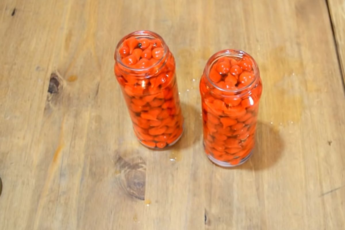Aprenda a fazer conserva de pimenta biquinho: assim não tem erro!
