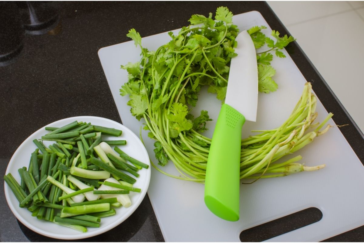 Aprenda a maneira certa de plantar coentro na horta da sua casa: não erre mais - Canva