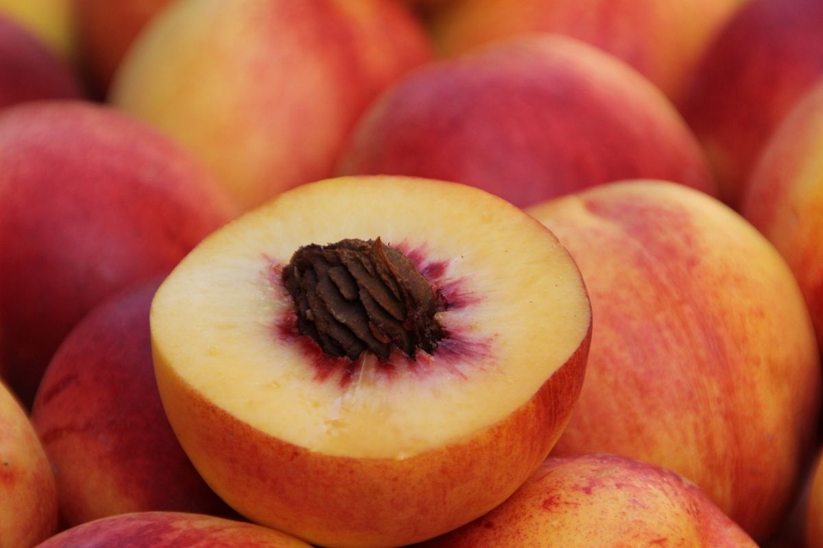 Bolo gelado de pêssego: faça essa sobremesa diferente e surpreenda a todos! (Fonte: Canva)