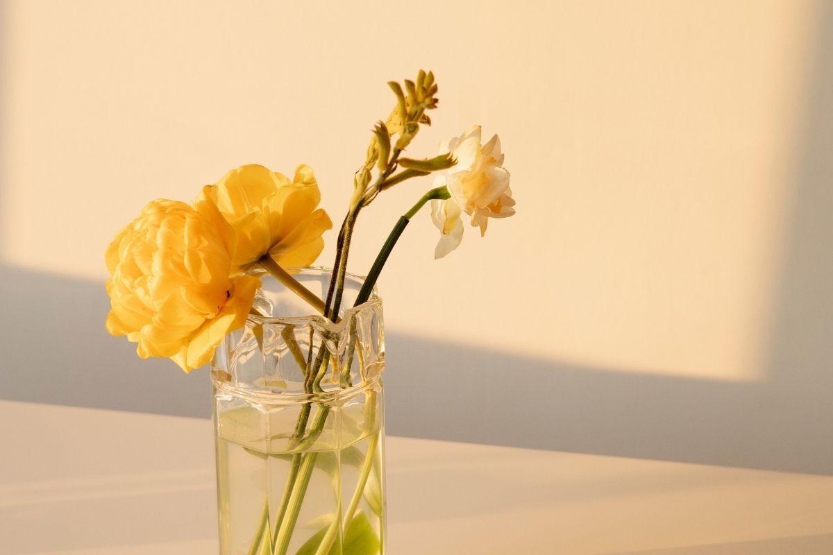 Decoração para mesa posta: 5 ideias e dicas de DIY fáceis e baratas! (Fonte: Canva)