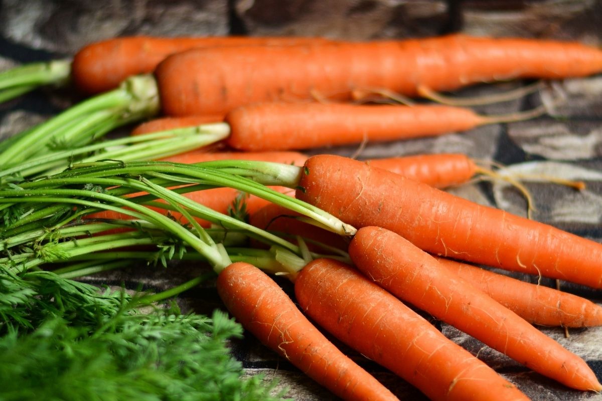 Mini bolinhos de cenoura com calda de chocolate: faça para decorar as festas! (Fonte: Canva) Mini bolinhos de cenoura com calda de chocolate: faça para decorar as festas! (Fonte: Canva)