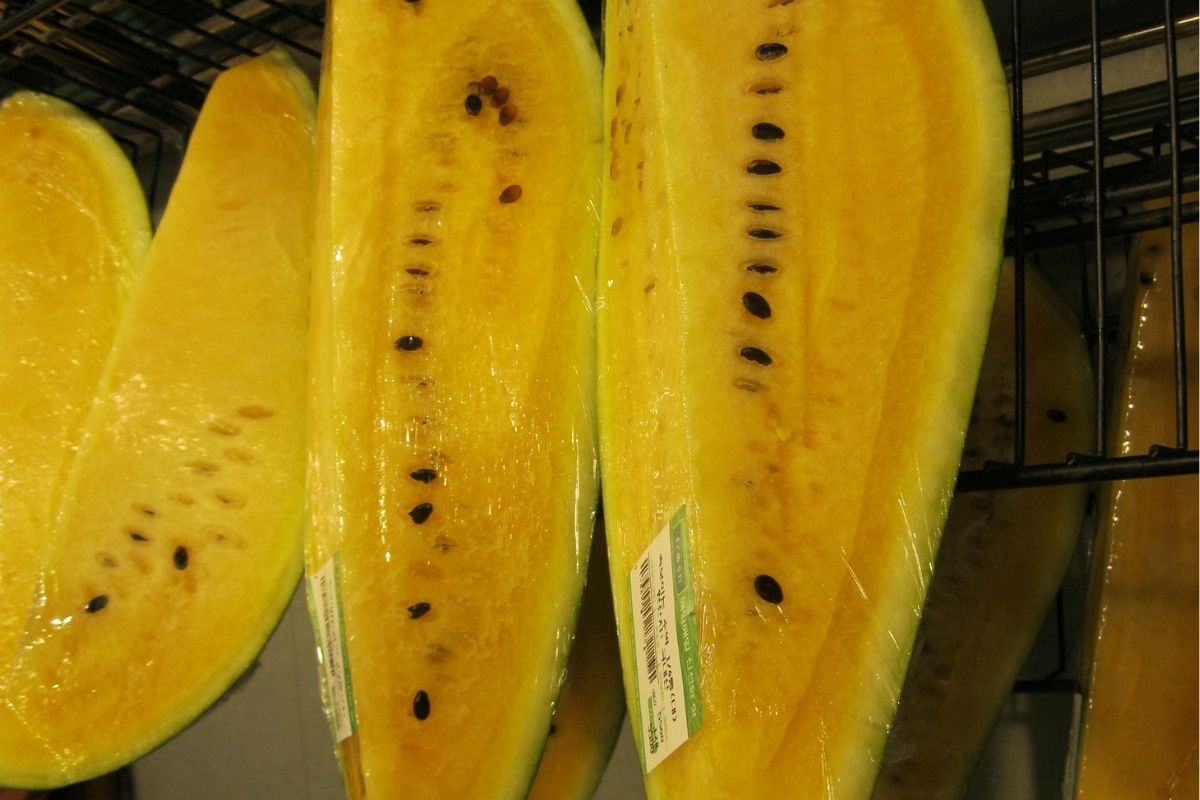 Melancia amarela: conheça suas propriedades e benefícios para sua saúde (fonte: Canva)