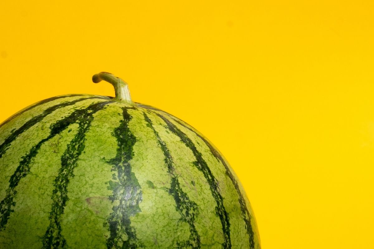 Melancia amarela: conheça suas propriedades e benefícios para sua saúde (fonte: Canva)