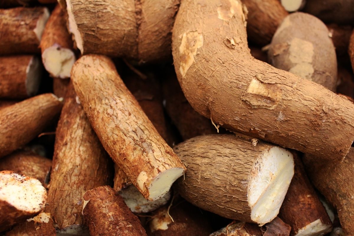 Mandioca frita na Airfryer! Sequinha por fora, e cremosa por dentro (Fonte: Canva)