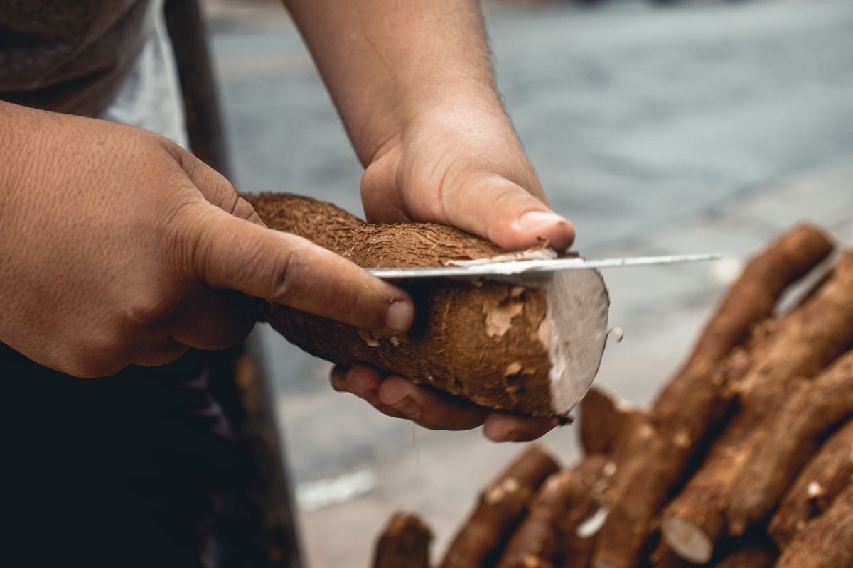 Mandioca frita na Airfryer! Sequinha por fora, e cremosa por dentro (Fonte: Canva)