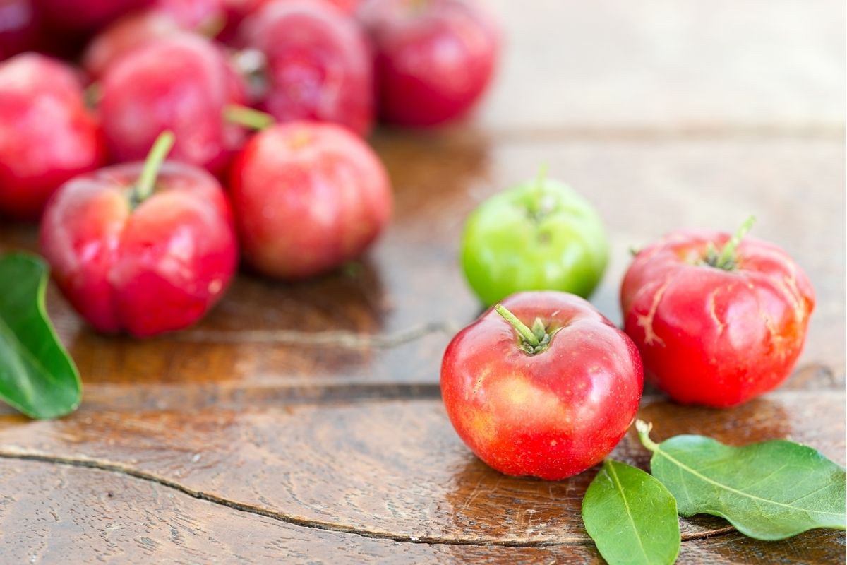 Acerola em vaso: cultive em poucos dias Fonte: Canva