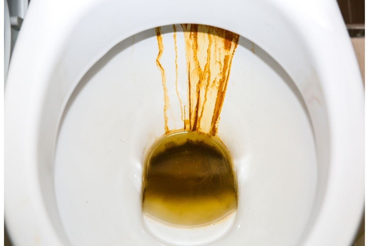 Querosene para fazer limpeza: onde e quando usar Fonte: Canva Querosene para fazer limpeza: onde e quando usar Fonte: Canva