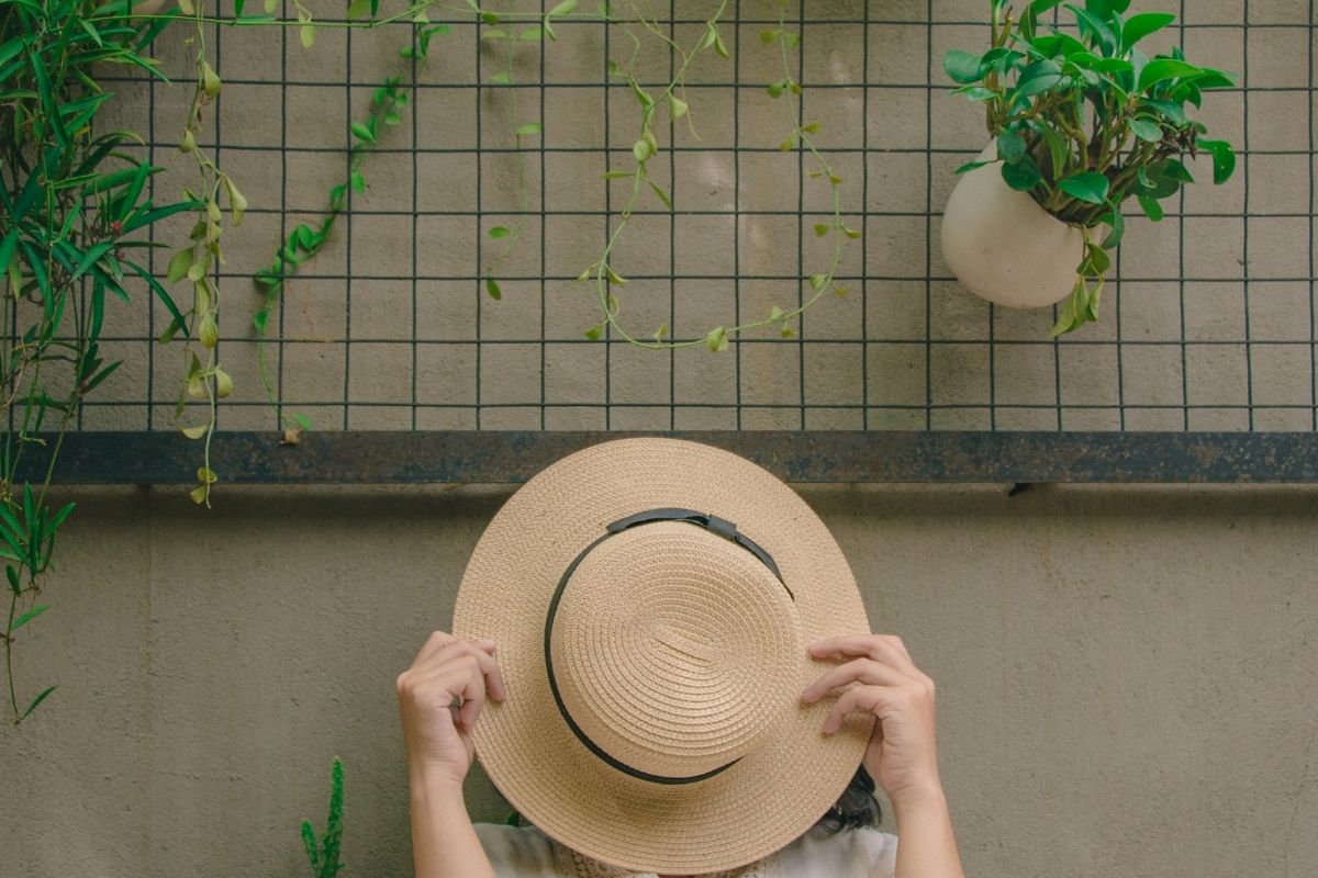 Jardim vertical: como fazer em terreno pequeno? Confira esse método, é econômico e fácil! (Fonte: Canva)