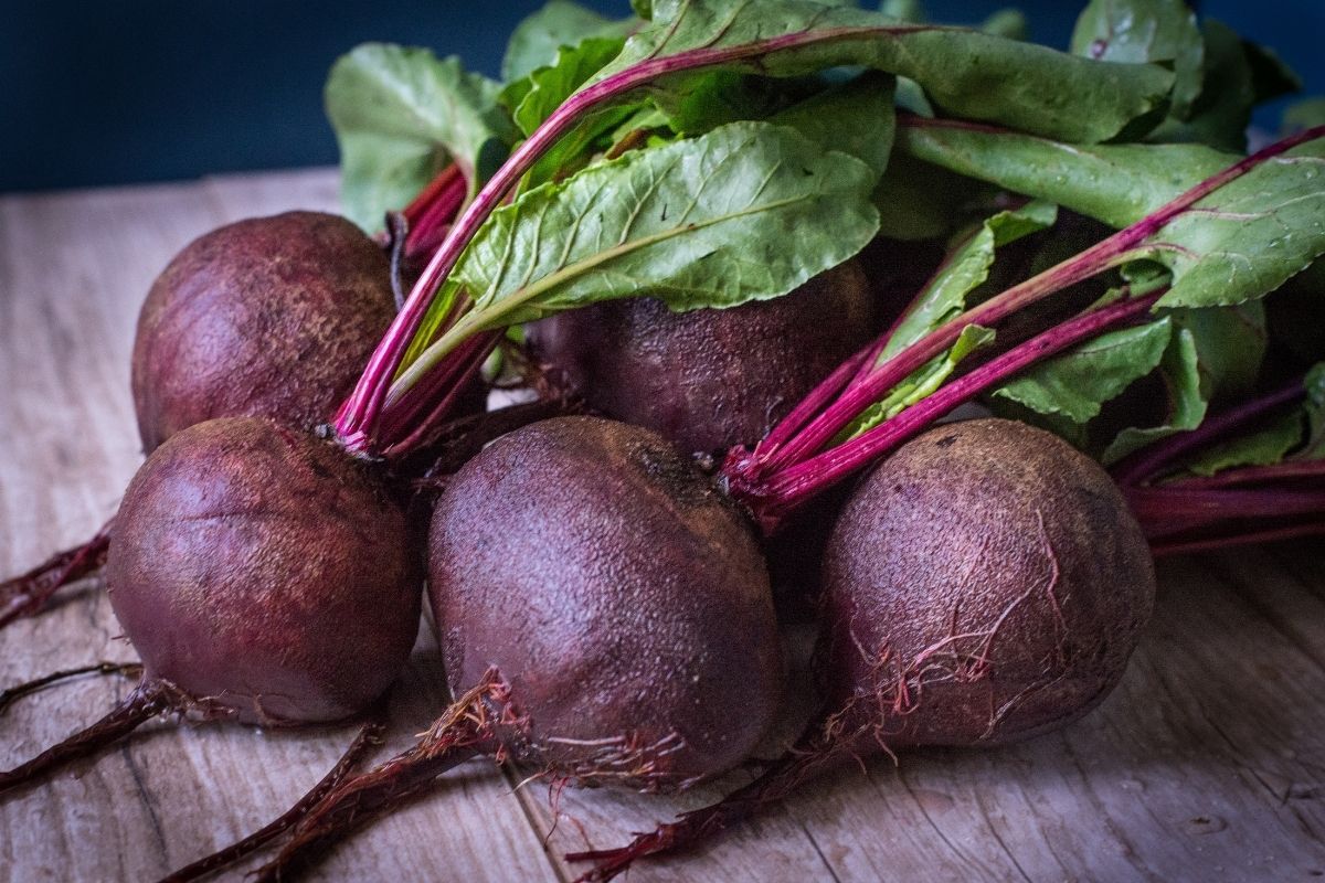 Como fazer a Rosa do Desertor florir mais rápido? Confira esse adubo natural super econômico, faz milagre! (Fonte: Canva)