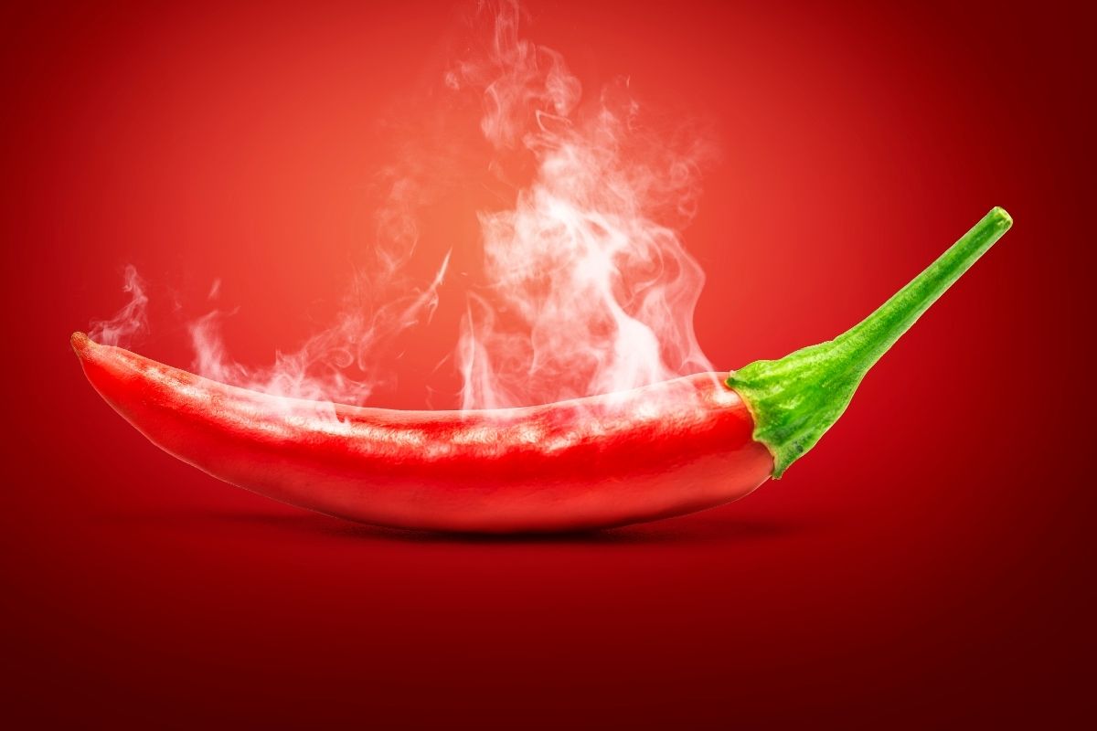 Benefícios da Pimenta malagueta e de brinde uma receita de sopa picante - Foto: Canva