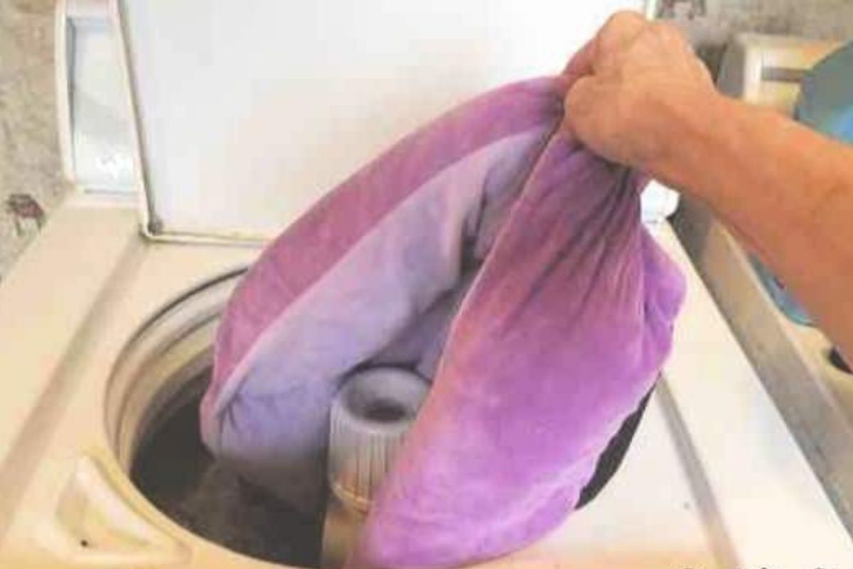 Como limpar a caminha do cachorro: muito fácil fazer isso, use a máquina de lavar! - Fonte: canva