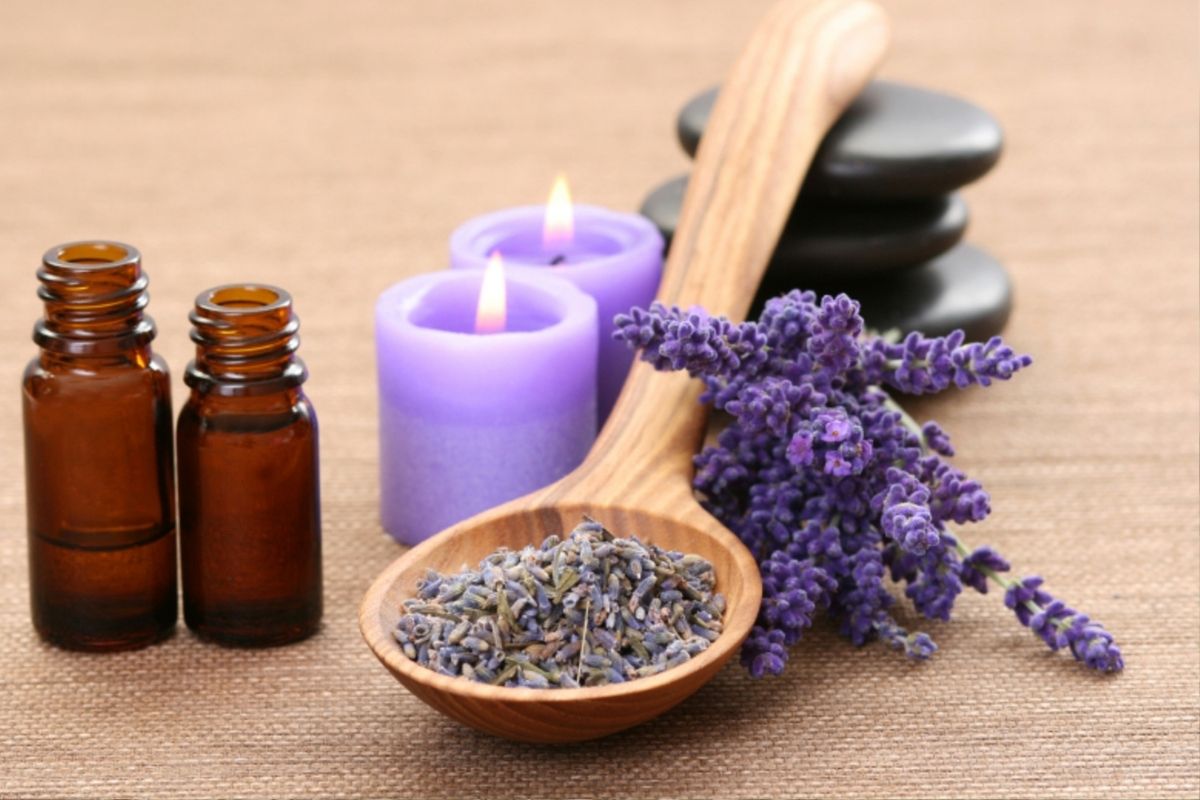 Como plantar lavanda no jardim de casa? Veja como é simples e não da trabalho (Fonte: Canva) Como plantar lavanda no jardim de casa? Veja como é simples e não da trabalho (Fonte: Canva)