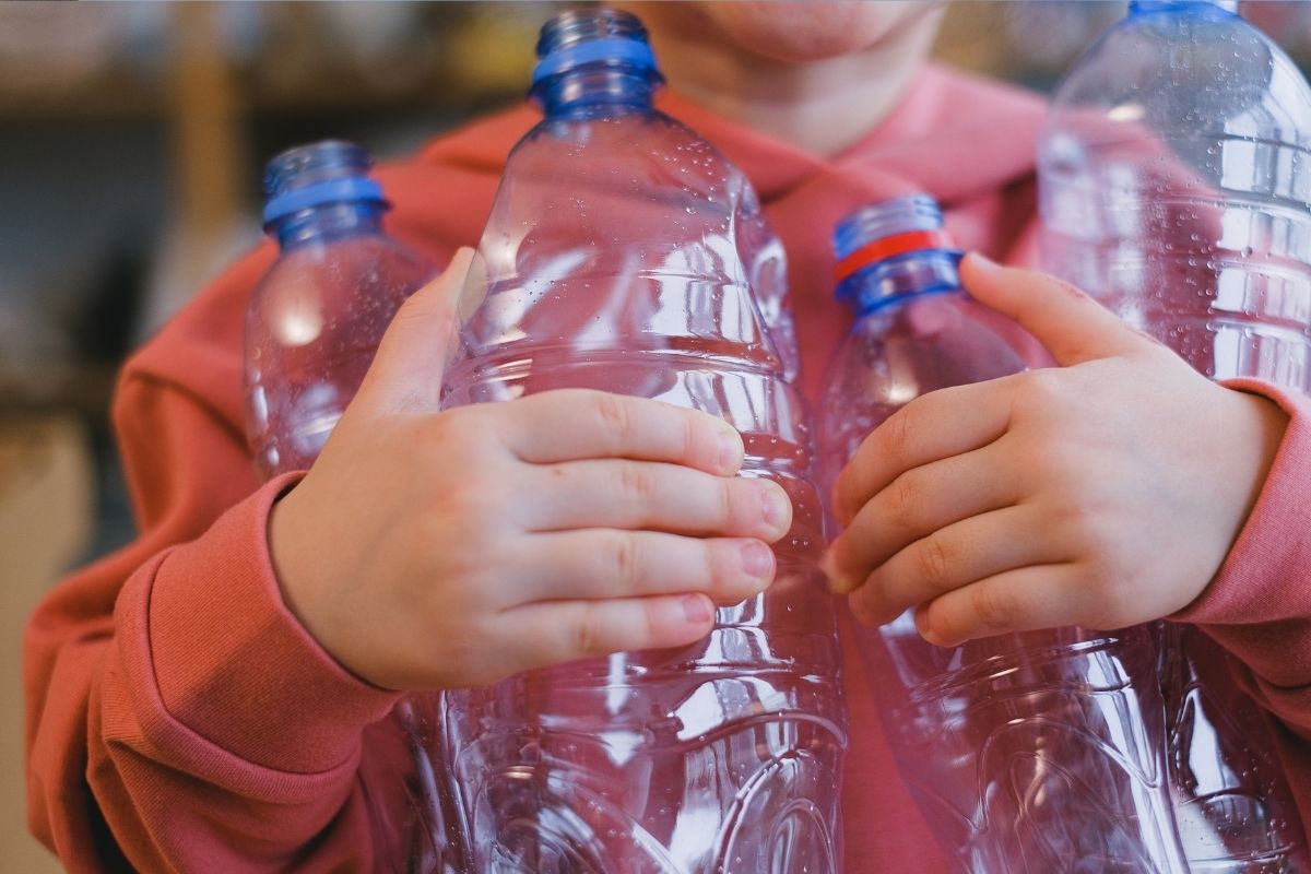 Rúcula em garrafa pet: confira como é simples e fácil de plantar! (Fonte: Canva) Rúcula em garrafa pet: confira como é simples e fácil de plantar! (Fonte: Canva)