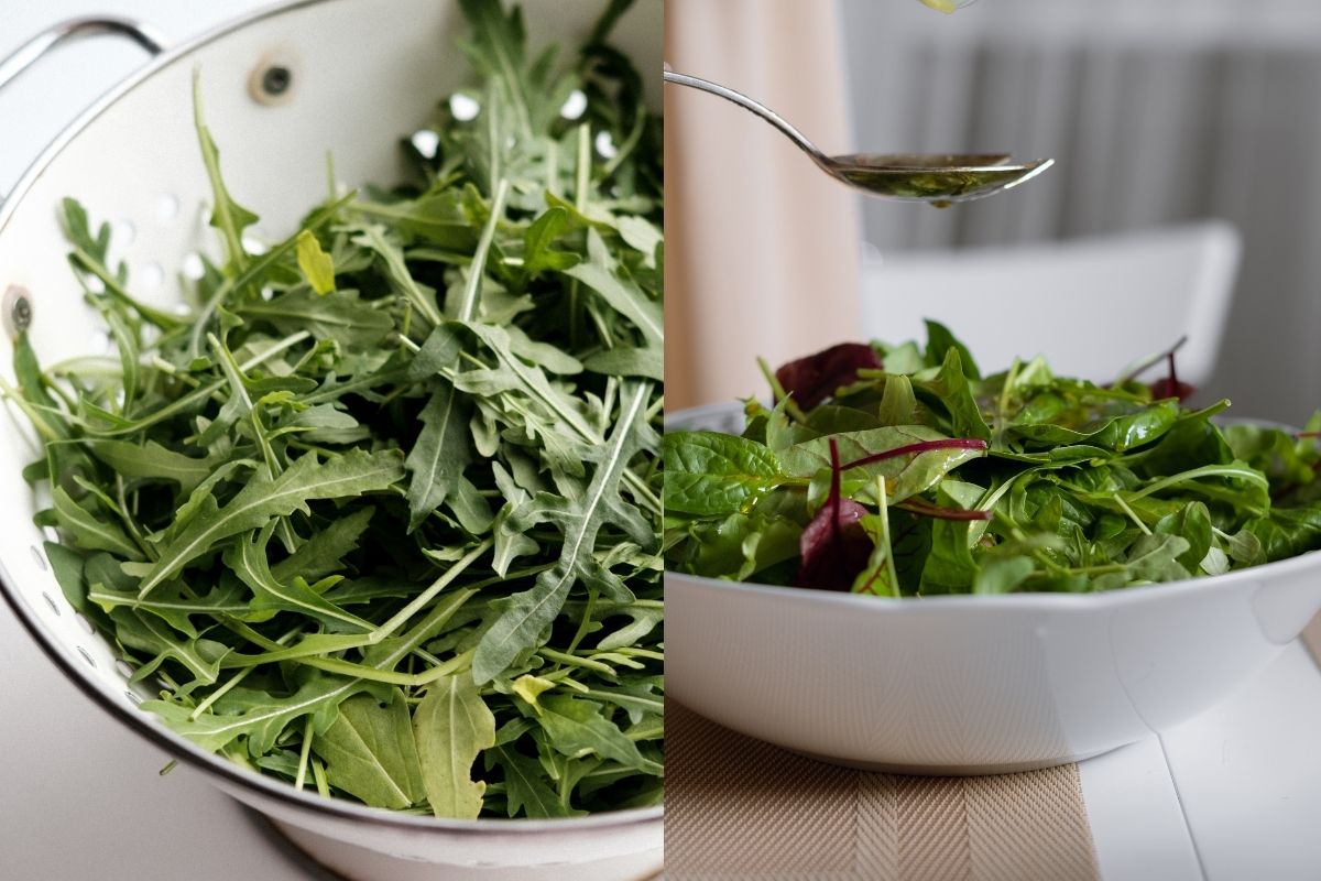 Rúcula em garrafa pet: confira como é simples e fácil de plantar! (Fonte: Canva)