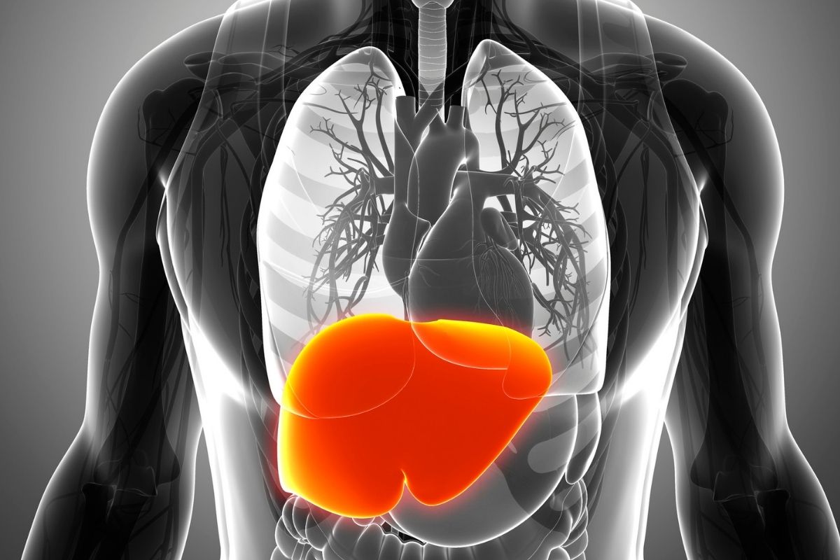 Limpeza hepática como fazer? Desse jeito fica muito melhor Fonte: Canva