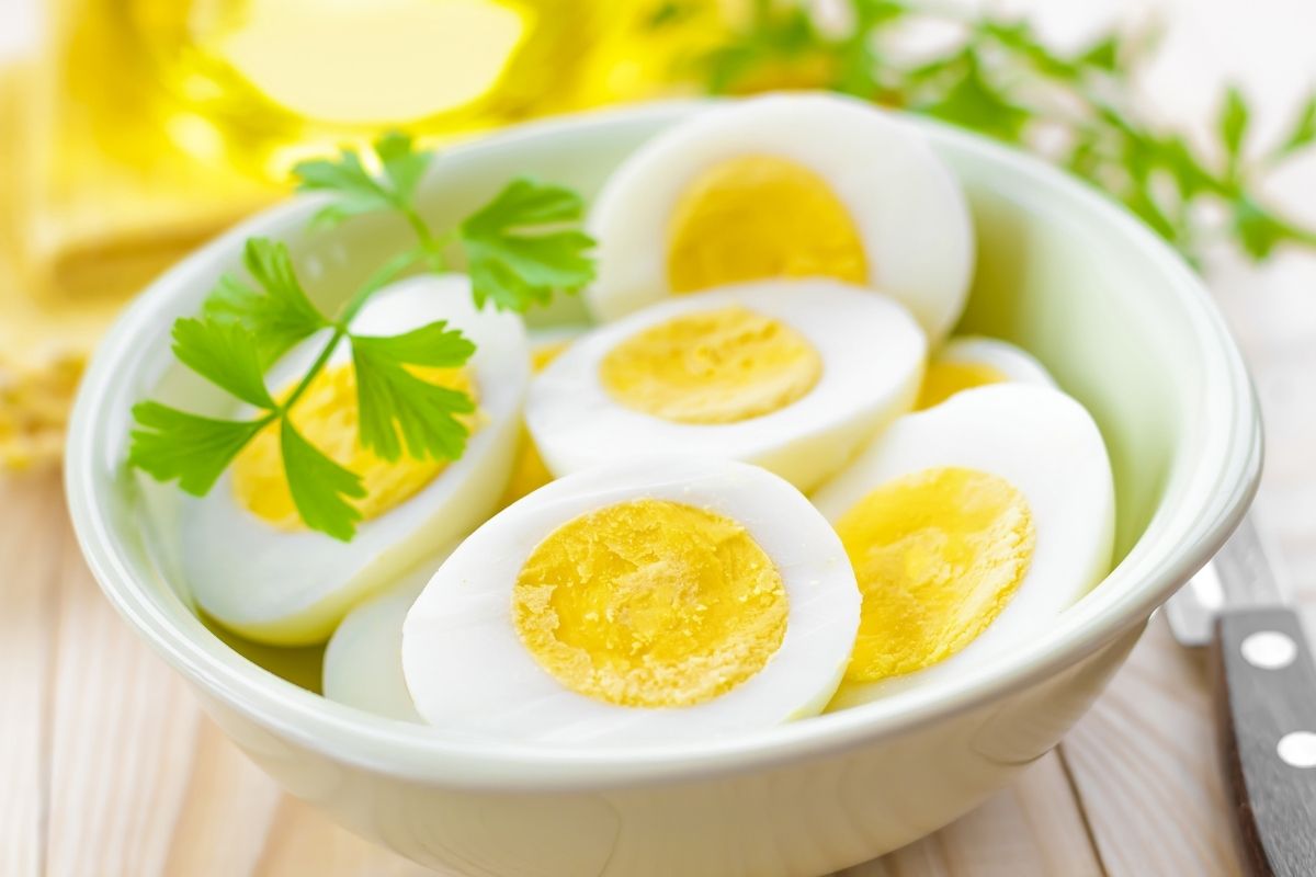 Benefícios do ovo cozido: comer esse alimento faz bem? - Foto: canva