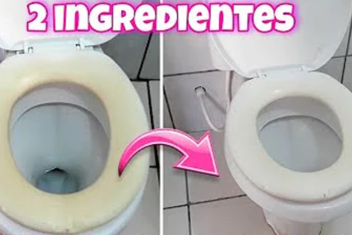 Como limpar assento de vaso sanitário - Fonte: YouTube - canal lar da loh