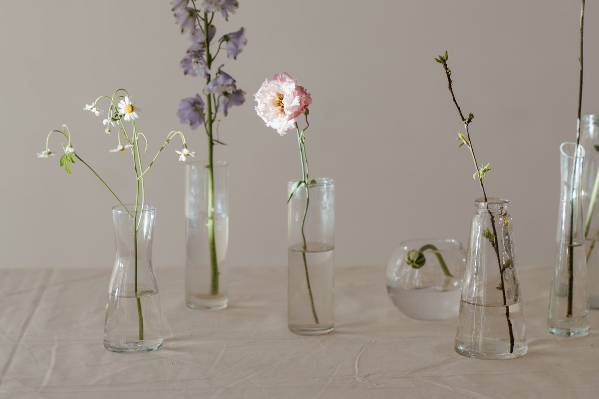 Vaso de planta para sala de estar: descubra quais combina com o seu ambiente, dessa forma fica cheirosinho (Reprodução: Pexels)