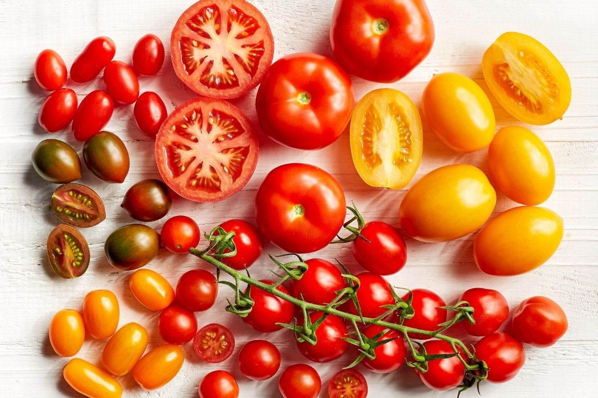 Tomates na época certa! Descubra quando e onde plantar (Foto: canva)