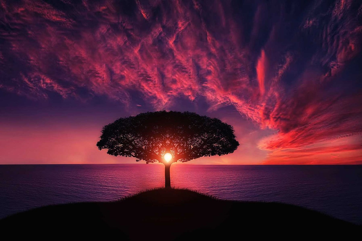 Astrologia: veja o impacto da entrada de Sol em gêmeos no seu signo - Fonte: Pexels