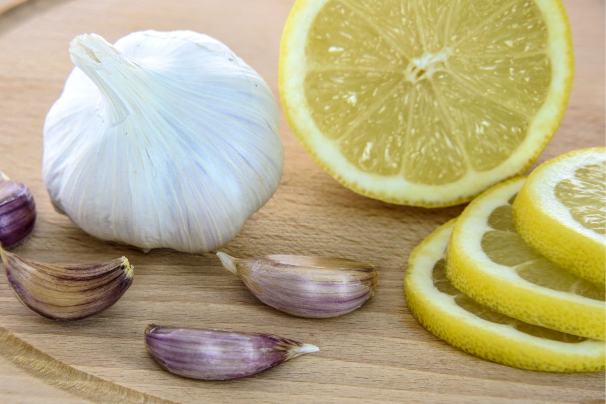 Chá de alho e limão para a gripe: aprenda como fazer e beba hoje mesmo!
