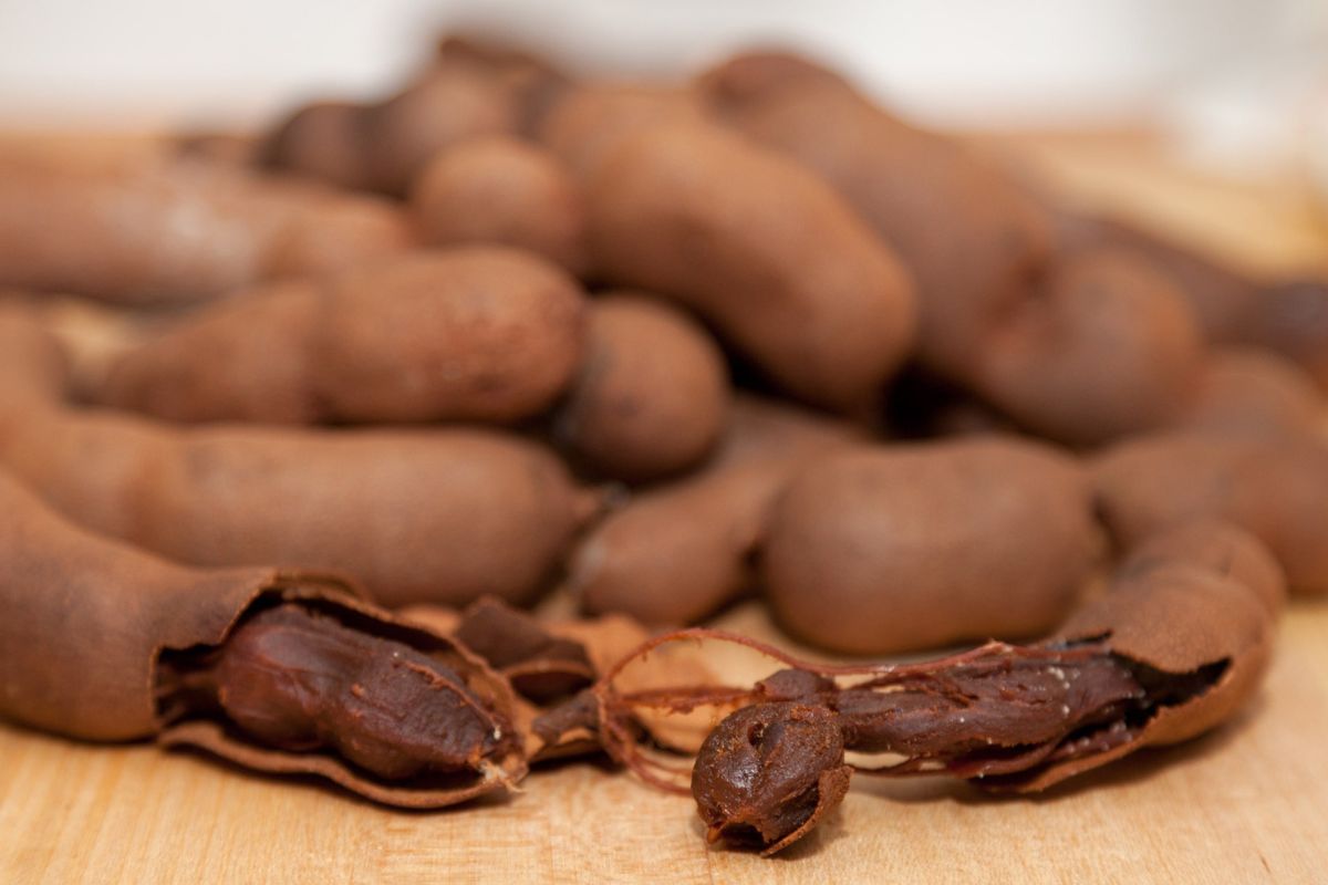 Você conhece o tamarindo? Confira os benefícios desse fruto para sua saúde! (Fonte: Canva Pro)