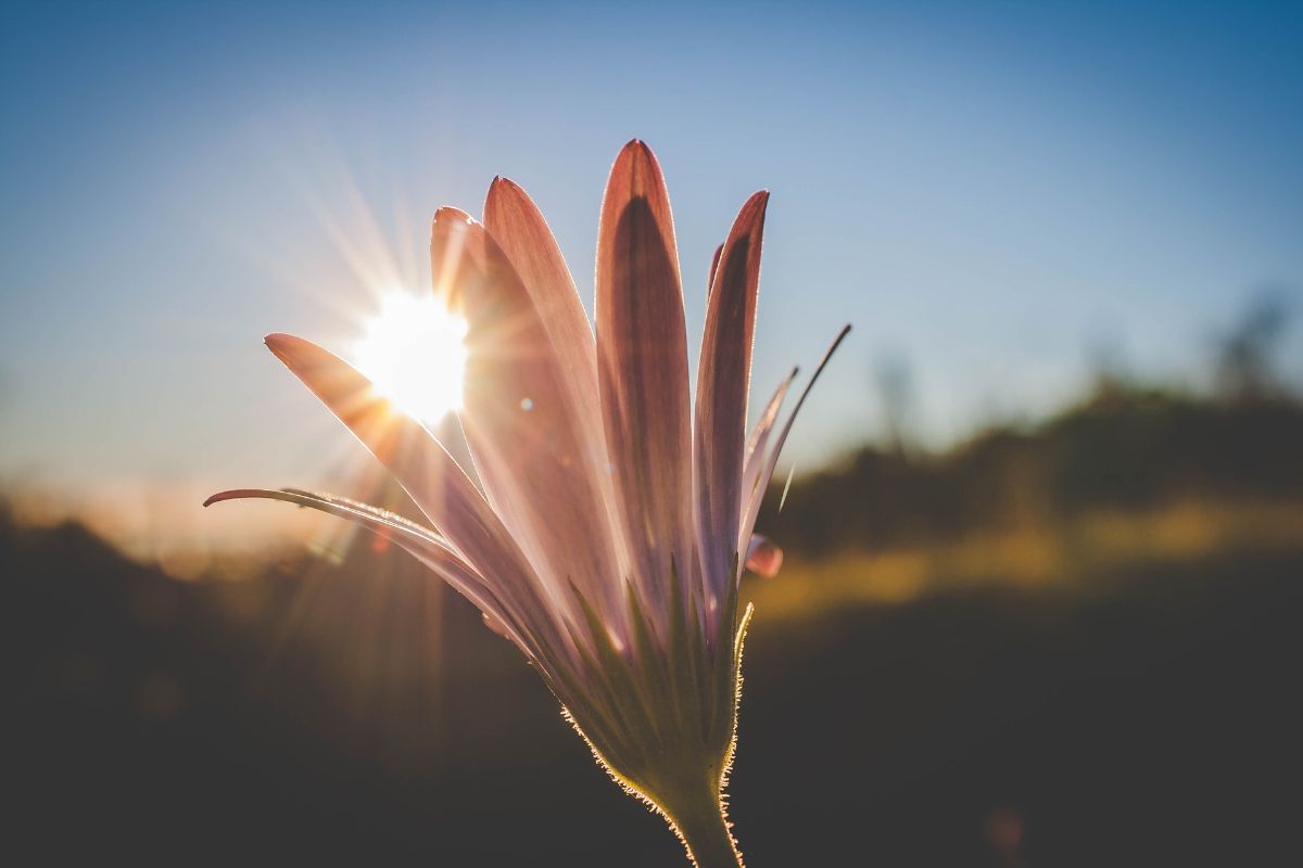 Aquecedor solar caseiro igual esse você nunca viu! Veja como fazer em casa! (Fonte: Canva)