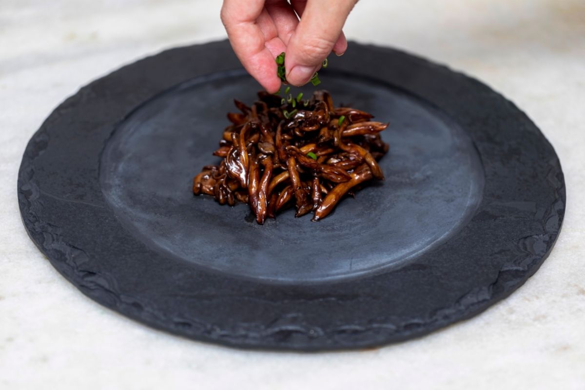 Receita de cogumelo shimeji! É perfeita, veja como fazer! - Foto: Canva Pró