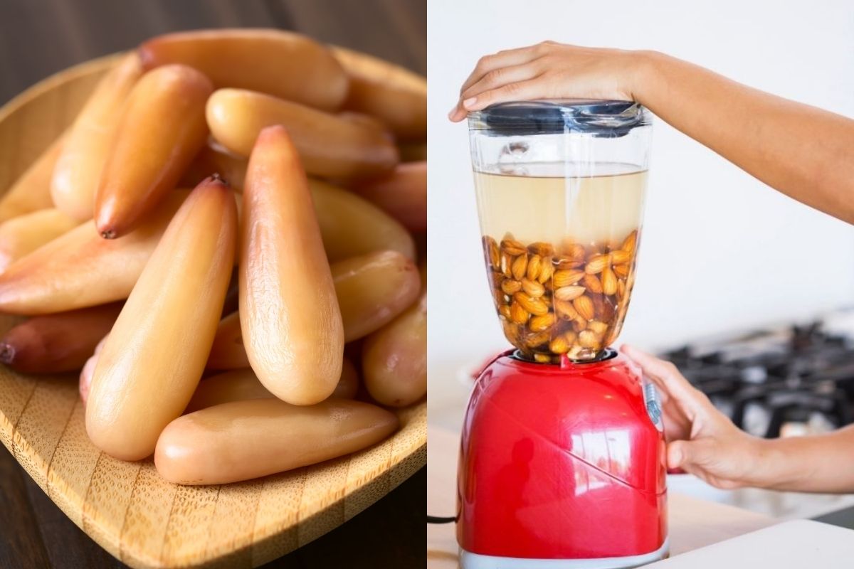 Receita de bolo de pinhão feito com água de coco, o mais gostoso do mundo! - Foto: Canva