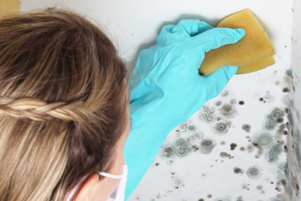 Como limpar papel de parede: faça isso sem danificar, mantenha a decoração! - Fonte: Canva