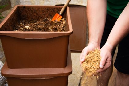 A bióloga ensina: como fazer uma composteira com baldes ou caixas! Adubo free! - Foto: Canva